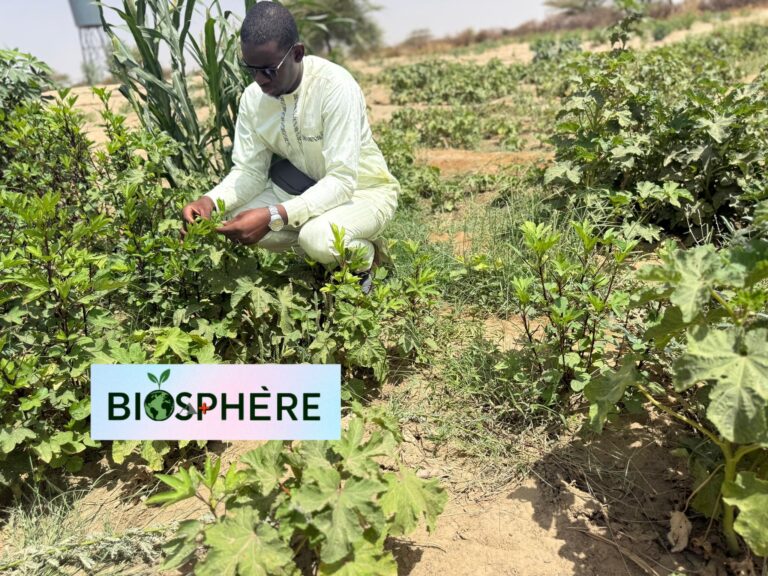 Aboubacrine Ag Mouhamedine Yattara