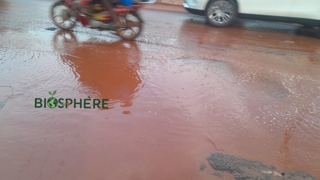 Image prise sur la route de Koulikoro par la rédaction Biosphère