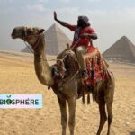 Photo de Dromadaire prise en Egypte par un collaborateur de la rédaction Biosphère