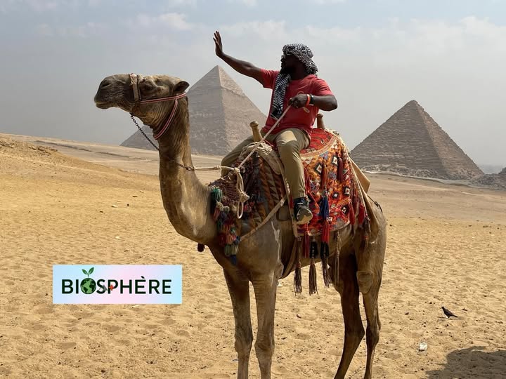 Photo de Dromadaire prise en Egypte par un collaborateur de la rédaction Biosphère