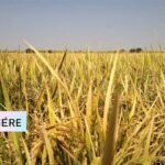 photo Biosphère PAG 2025