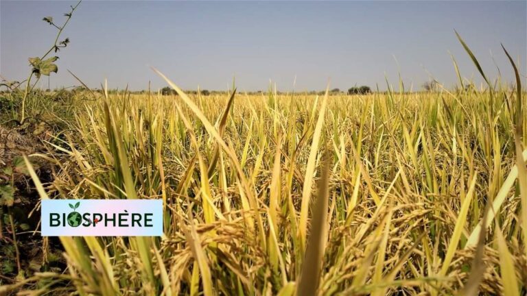 photo Biosphère PAG 2025