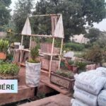 photo biosphère environnement