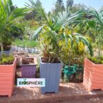 photo rédaction Biosphère santé végétaux