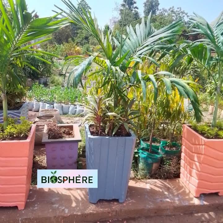 photo rédaction Biosphère santé végétaux