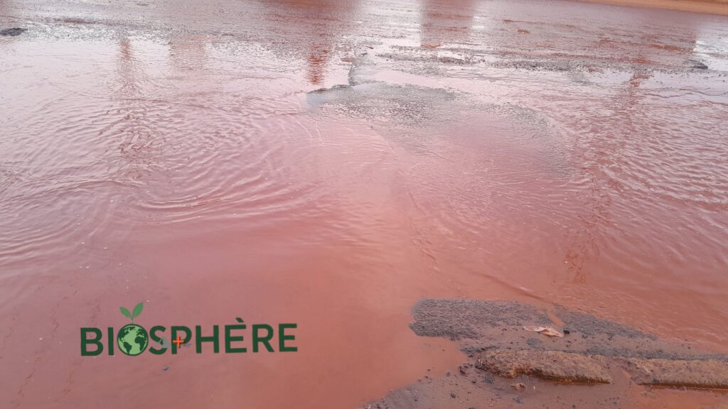 Photo prise à Bamako en aout 2025 par Biosphère