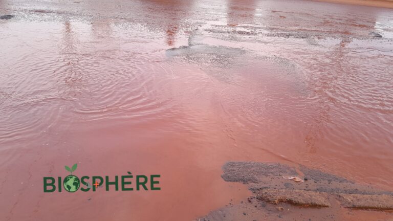 Photo prise à Bamako en aout 2025 par Biosphère