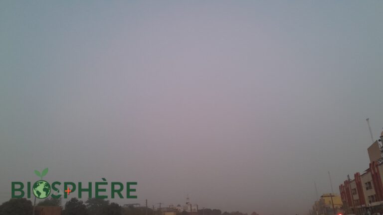 Bamako et régions maliennes sous la brume de poussière
